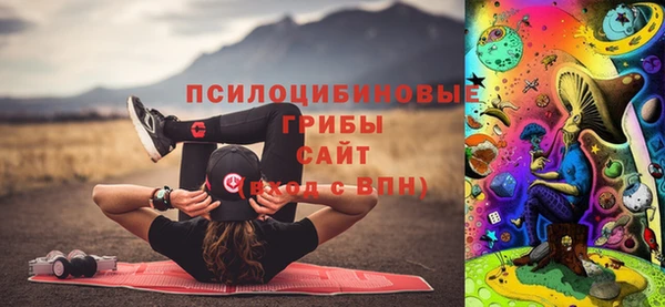 Альфа ПВП Армянск