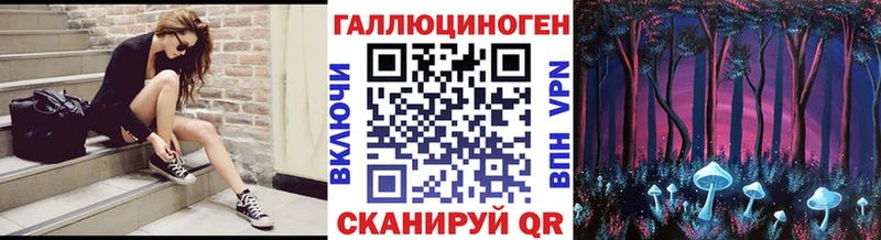 Галлюциногенные грибы Psilocybine cubensis Тверь